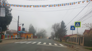 marcaje-treceri-pietoni-1