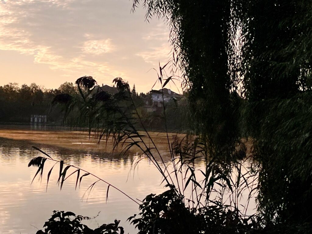 Aburi ridicându-se deasupra Râului Cociovaliștea într-o dimineață rece de toamnă, Balotești.